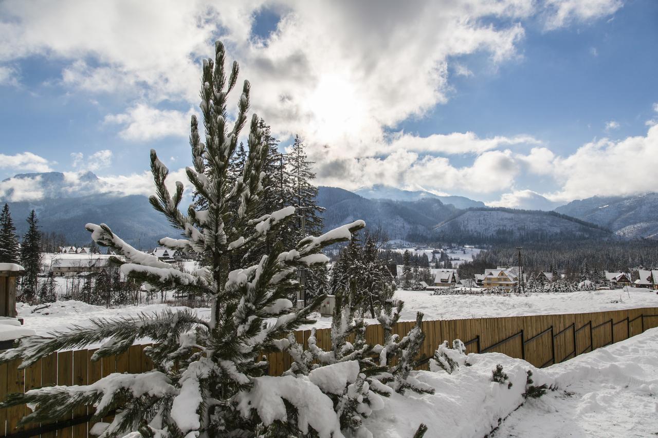 Udanypobyt Apartamenty Snowbird Kościelisko Dış mekan fotoğraf